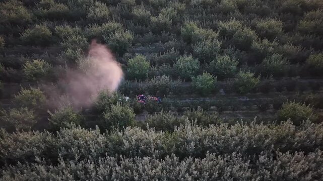 Aerial view of a tractor spraying mist among the rows of fruit trees in an orchard in Karaman, Karaman, Turkiye.