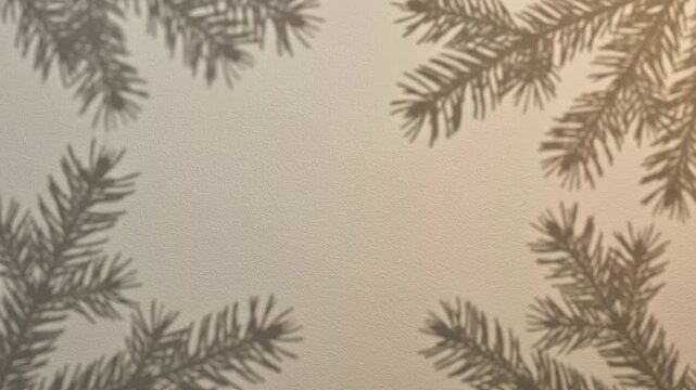Soft evergreen branch shadows move across a warm neutral surface, creating an elegant minimalist Christmas background.