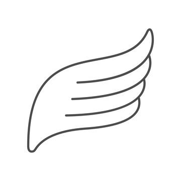 Bird modern wing line icon