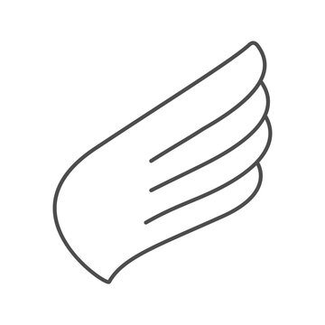 Modern bird wing line icon