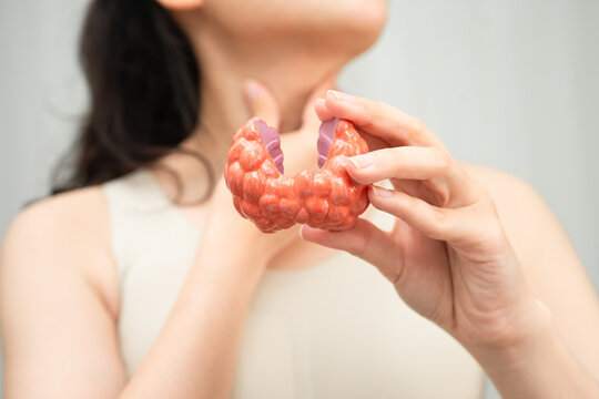 Hyperthyroidism, Overactive Thyroid, Thyroid Lymphoma, Asian woman with thyroid gland human anatomy model.