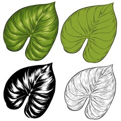 Philodendron Tropical Leaf Illustration Set - Detailed, Flat, Line Art, and Silhouette Styles - Isolated on White Background © R14N