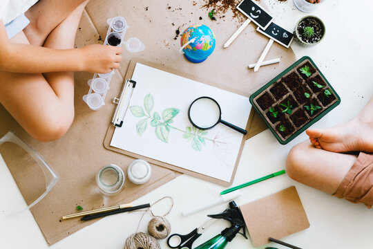 A curious child examines a botanical drawing with a magnifying glass while sitting on the floor surrounded by gardening tools and seedlings. Authentic early education and nature exploration concept.