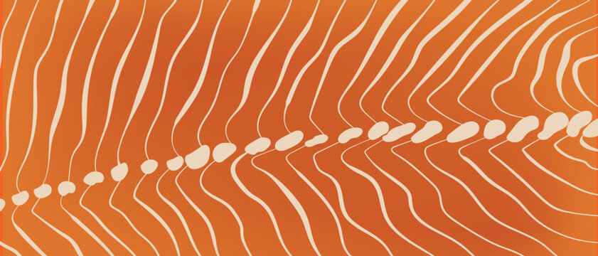 Salmon fillet texture vector background with orange fish meat pattern. Seafood design for food packaging and fish product branding.