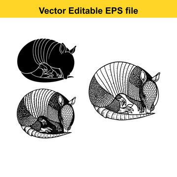 Set of hand drawn armadillo illustrations in black and white