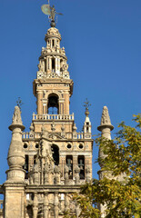 Fototapeta premium Giralda bell tower of Seville Cathedral in Spain. Spain - Sevilla