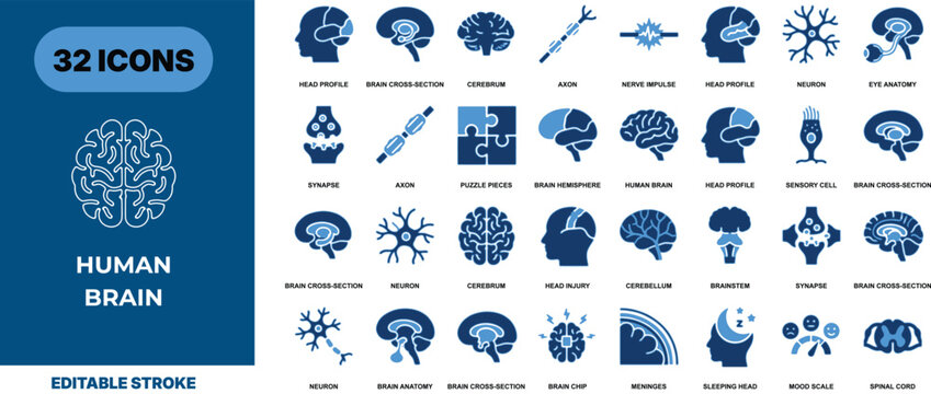 Set of thirty two human brain blue vector icons