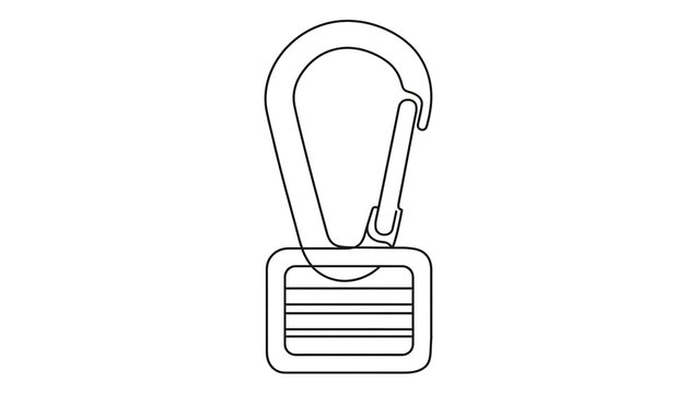 Carabiner keychain on white background.