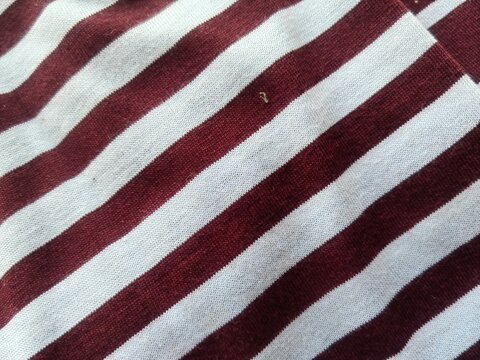 striped fabric texture