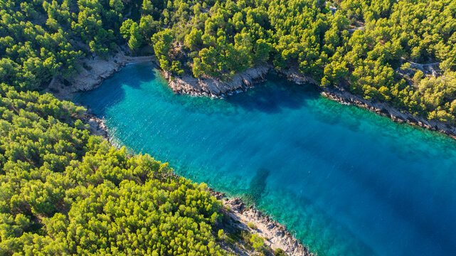 Crystal clear Adriatic Sea meets rocky coastline and Mediterranean vegetation in peaceful Uvala Maslinica. Sunny summer weather creates relaxing atmosphere for nature and coastal travel photography.
