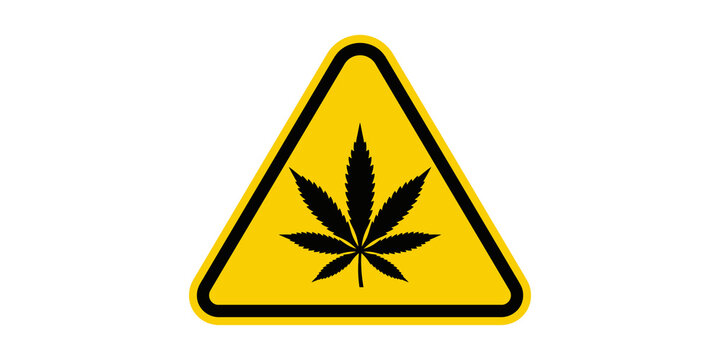 Yellow triangular warning sign with black cannabis leaf icon inside.
