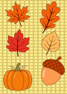 Autumn clipart set featuring maple leaf oak leaves pumpkin and acorn illustration on yellow grid pattern background vector
