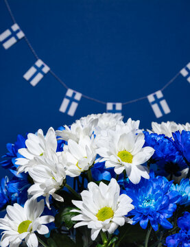 Decoration for Independence Day of Finland, blue and white flowers in a vase and the Finnish flag strip on the black background.

