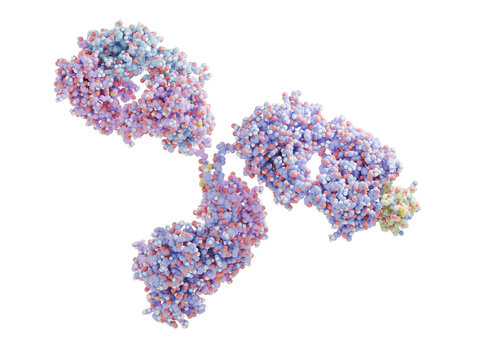 Therapeutic monoclonal antibody binding to collagen type VI alpha 3 (COL6A3). Mutations in the type VI collagen genes are associated with Bethlem myopathy and Ullrich congenital muscular dystrophy.