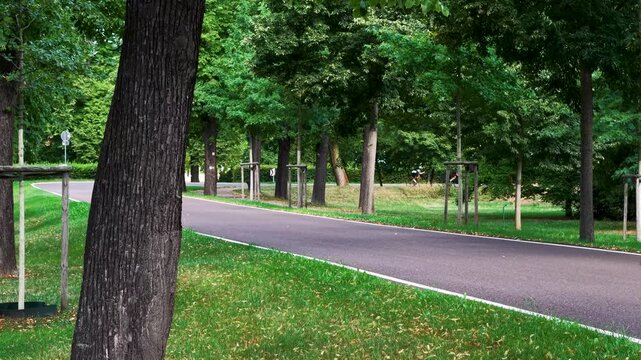 Cyclists race along smooth park road surrounded by mature trees and summer greenery. Dynamic video captures group cycling, speed, endurance, fitness, recreation, transport, and outdoor sport