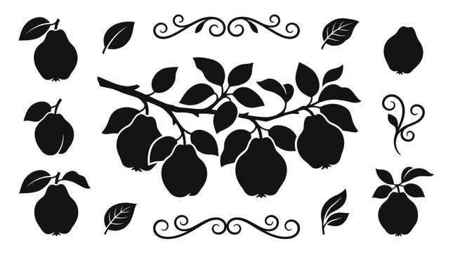 set of black olives