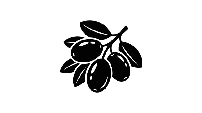 olive branch vector