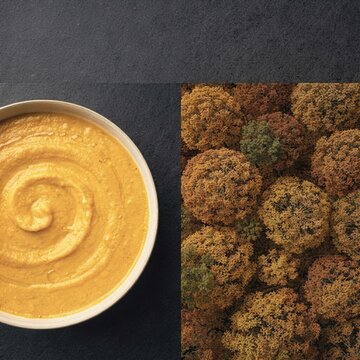 Pumpkin soup with a creamy swirl paired with an aerial view of autumn forests, a warm conceptual diptych for culinary campaigns and copy space