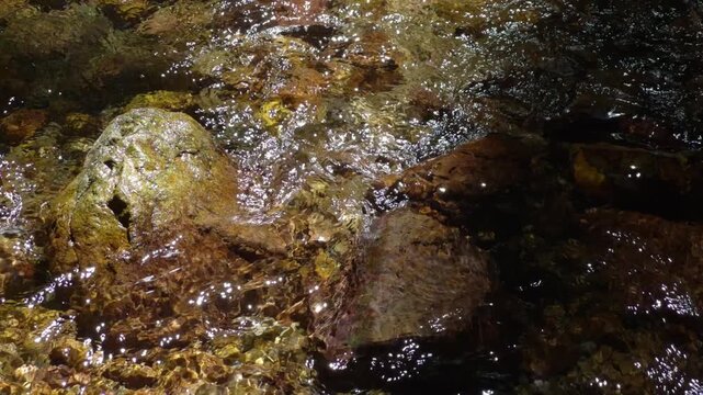 渓流の流れ