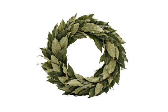 A circular wreath made of dried green bay laurel leaves arranged in a thick foliage ring for decoration isolated on a transparent background