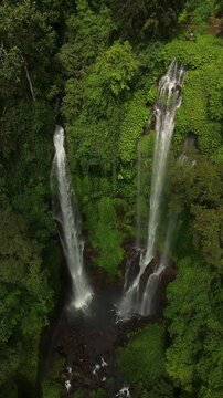 Aerial view of Sekumpul Waterfall cascading through lush tropical jungle foliage in Kecamatan Sawan, Bali, Indonesia.