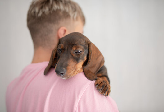 Young man holds dachshund dog on shoulder in casual indoor setting