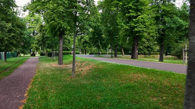 Moving video shows empty curved road through green urban park with mature trees, grass and parallel footpath. Summer scene highlights transport, recreation, nature, landscaping and city greenery