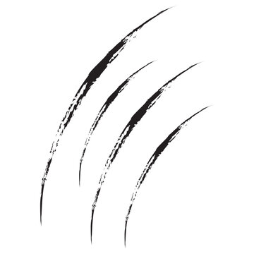 Claw marks icon. Animal scratch sign and symbol. Wild beast attack silhouette. Vector illustration isolated on white background.