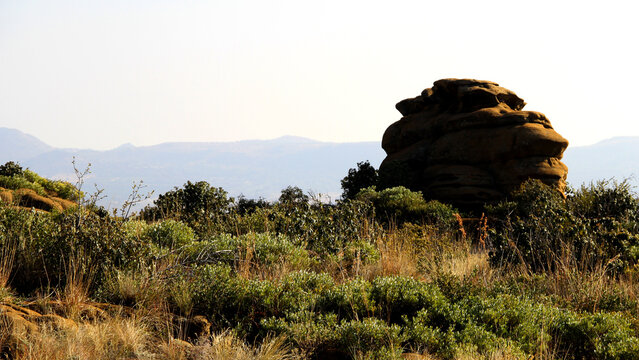 Fernkloof located in the Magaliesberg mountains, North West Provence  of SA 