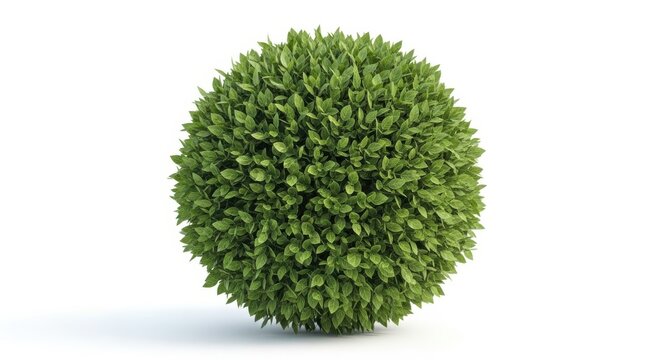 Close-up of a round textured green moss ball casting a subtle shadow on a white surface