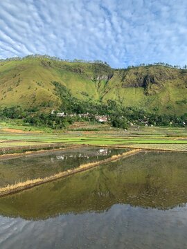 Scenic landscape view of lush green mountains reflected in flooded rice fields under a cloudy blue sky