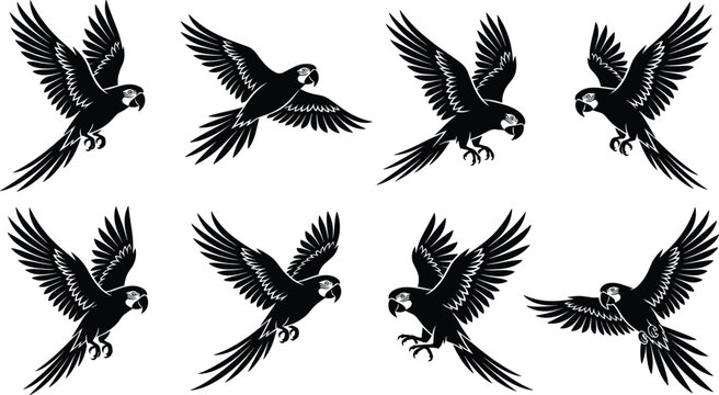 Collection of black parrot silhouettes in various flying poses isolated on a white background