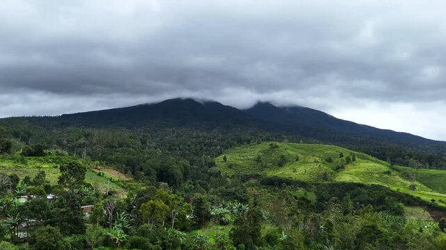 Aerial view of lush green tea plantation at the base of Mount Panawa under a dramatic cloudy sky in Garut, West Java, Indonesia.