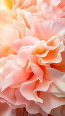 Fototapeta premium A close-up of coral peony petals, exhibiting a velvety texture and ruffled edges. The interplay of sunlight and shadows accentuates the peach to pale pink color gradients.