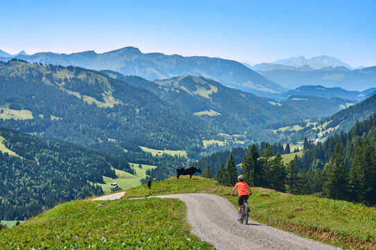 Attractive senior woman riding an electric bicycle on a mountain biking tour through sunny alpine meadows and scenic mountain landscapes above Balderschwang, Allg&auml;u Alps, Bavaria, Germany.