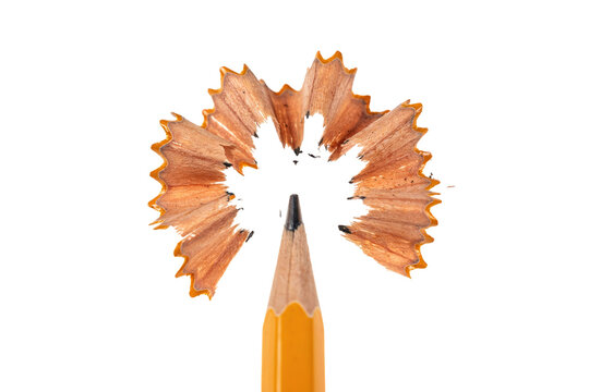 Sharpened wooden pencil lead tip with freshly created wood shavings isolated on white background, sharpened