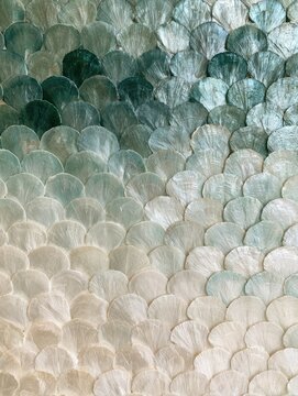 Capiz shell mosaic with a soft ombre transition from white to green, creating an elegant natural decorative texture.