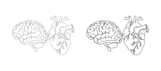 Obraz premium Human brain and heart line art illustration