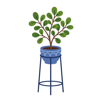 Green plant displayed on blue stand