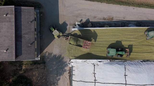 Aerial view of tractors loading grass silage into a bunker silo for cattle feed on a farm in Mediglia, Lombardy, Italy.