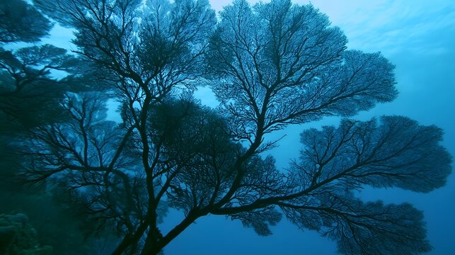 Silhouetted sea fans sway gently underwater in a serene blue ocean environment with soft ambient lighting