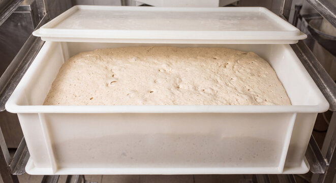 A high angle view of smooth raw yeast dough rising and fermenting inside a large white industrial plastic proofing box in a bakery kitchen