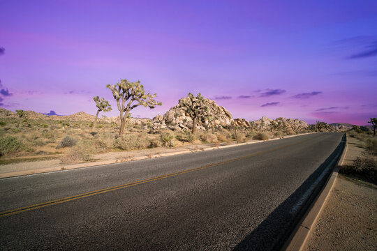 Joshua Tree National Park Landscape at Sunset, California 