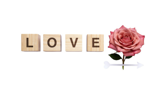 Wooden blocks spelling love with a beautiful pink rose on white background