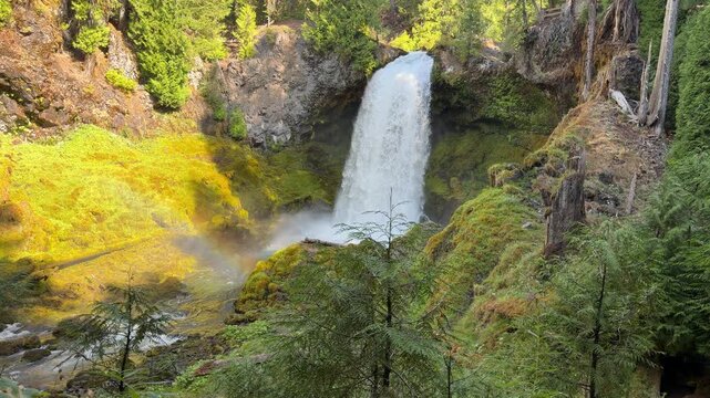 Sahalie Falls in the Willamette National Forest in the Cascade Mountains of Oregon on a summer morning.