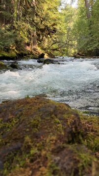 The McKenzie River in the Willamette National Forest in the Cascade Mountains of Oregon, on a summer day.