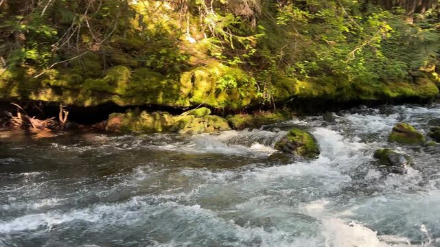 The McKenzie River in the Willamette National Forest in the Cascade Mountains of Oregon, on a summer day.