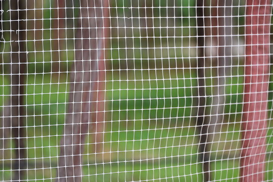 Plastic mesh, or bird netting, is stretched across wooden posts around farm to protect crops from animals. Commonly used in agriculture and for animal enclosures. Transparent fence or balcony barrier 