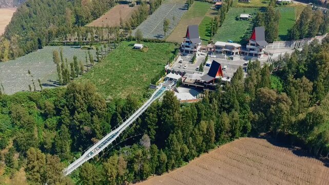 Aerial view of Jembatan Kaca glass bridge surrounded by lush green trees and agricultural fields in Kecamatan Sukapura, Jawa Timur, Indonesia.