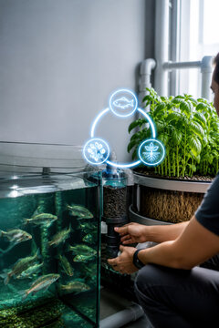 Aquaponic Balance System for Sustainable Food Production Smart Farming Water Quality Management and Circular Urban